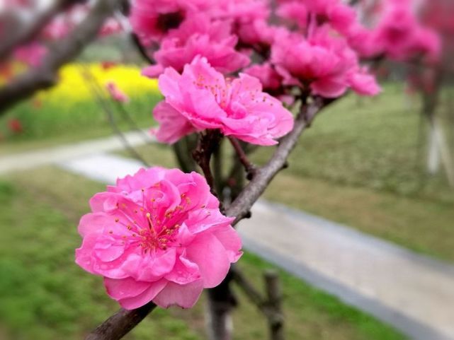 讲解！最好不要和单位劳动仲裁“桃红柳绿”