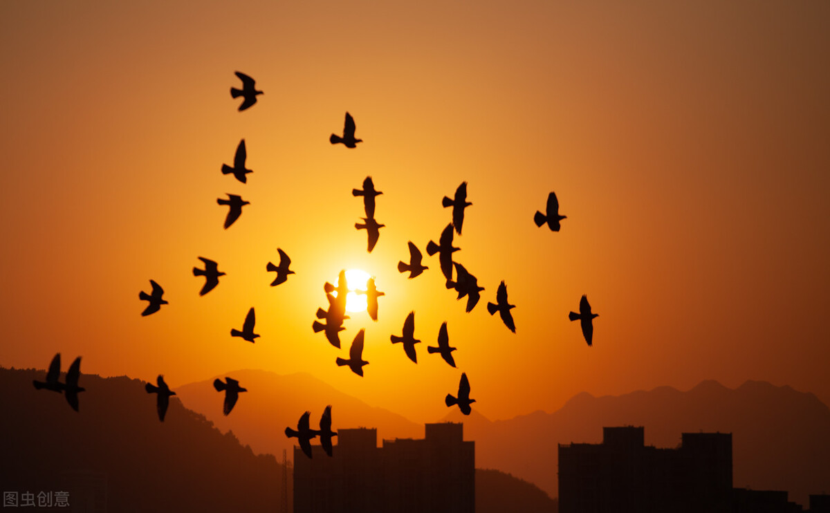 详情！乌合之众的乌是什么意思“空谷幽兰”