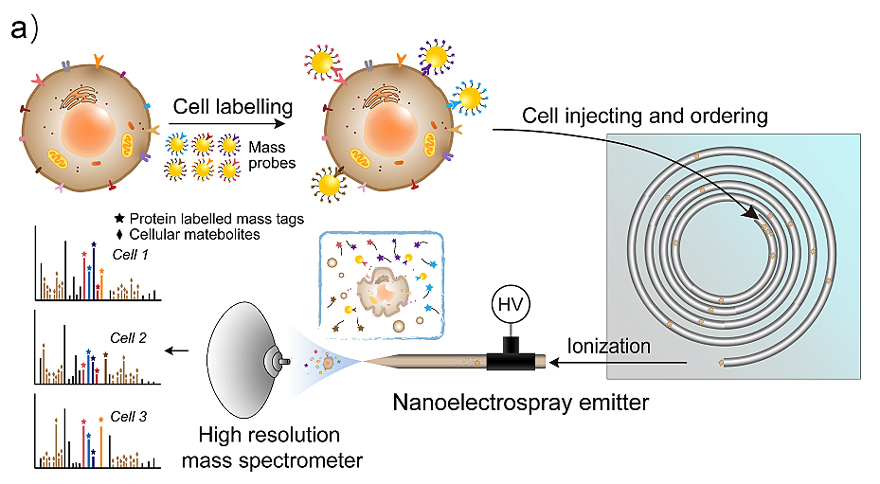 分析！维度是什么意思“冰清水冷”