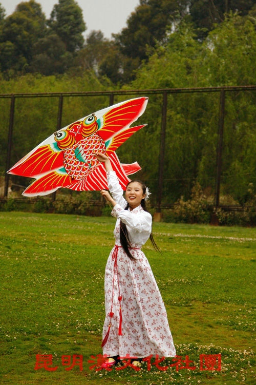 分析！纸鸢的鸢是指什么“一抹红尘”