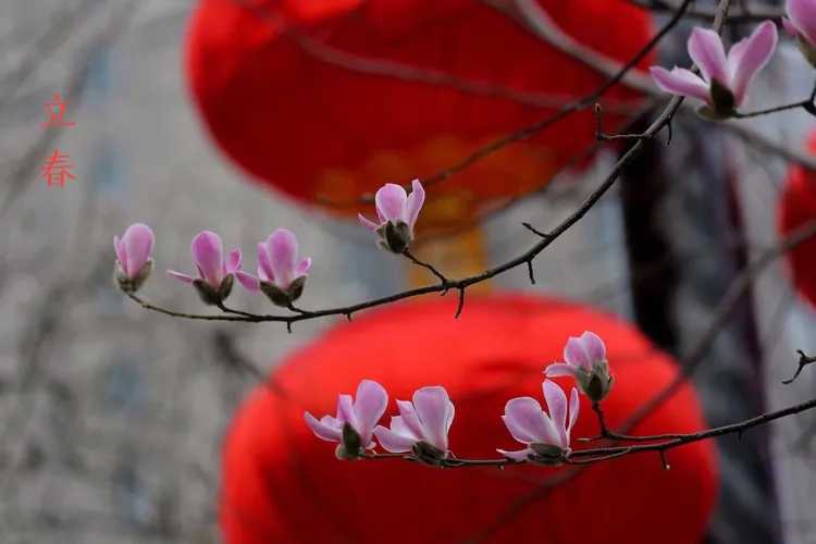 分析！什么是打底裙“桃红柳绿”