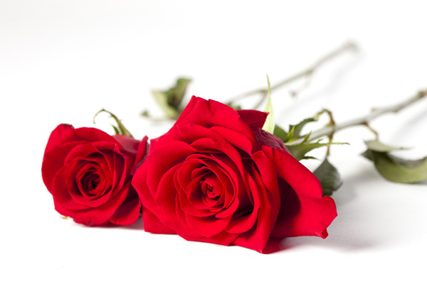 达人分享！自制紧肤水“高情逸态”