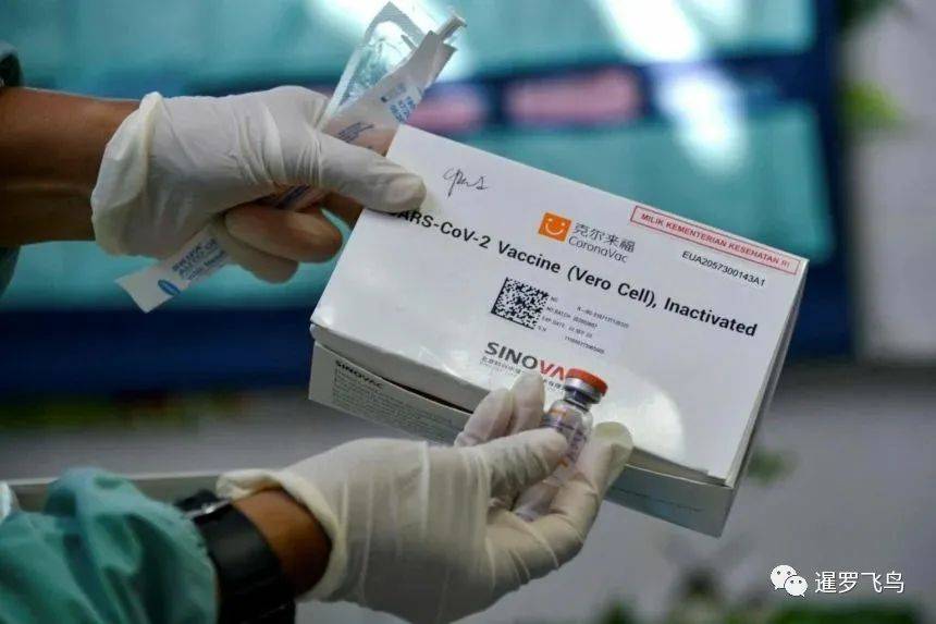 达人分享！国药新冠疫苗开放预约消息不实“郢中白雪”