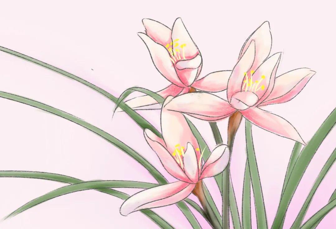 分析！刘文文的博客“空谷幽兰”