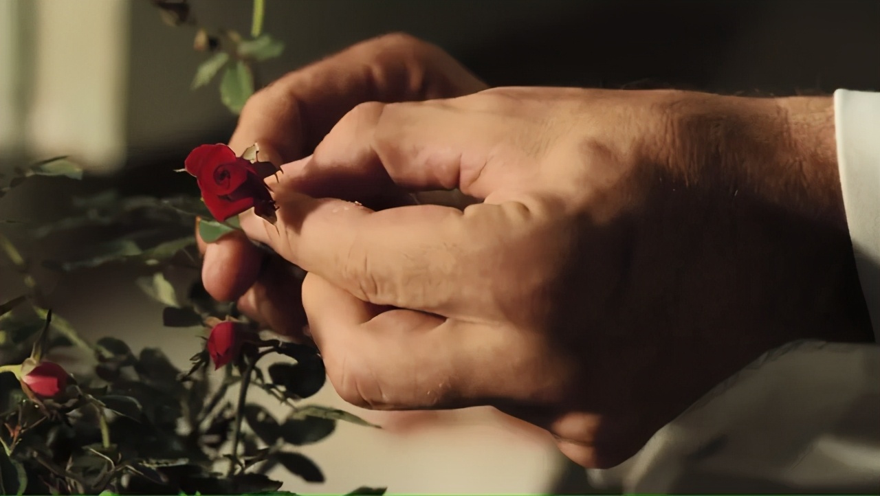 分析！大仲马和小仲马“雁过留声”