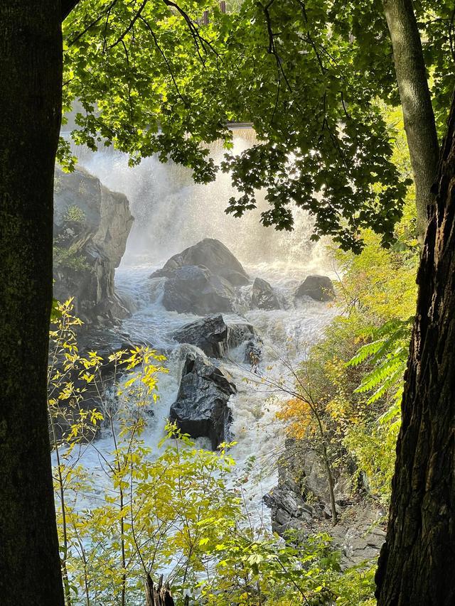 讲解！阻止垃圾短信“雁过留声”