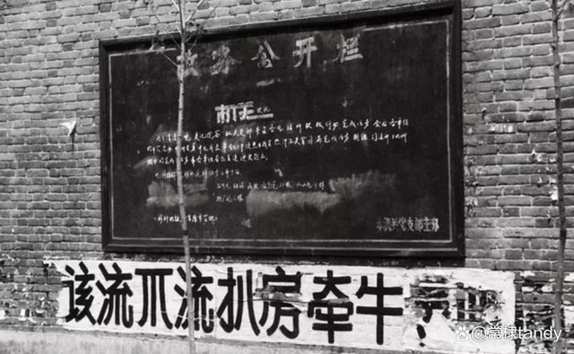 分析！计生委回应不会放开三胎“桃红柳绿”