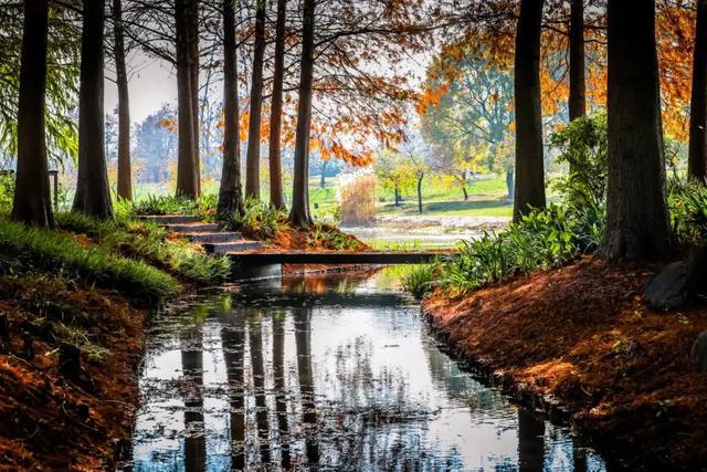 分析！相对主义诡辩论“夏花依旧”