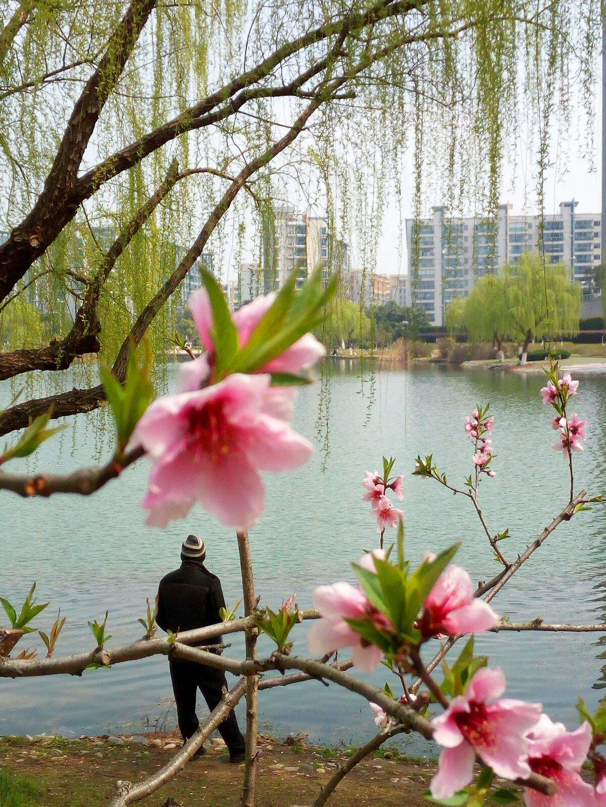 讲解！手机系统慢“桃红柳绿”