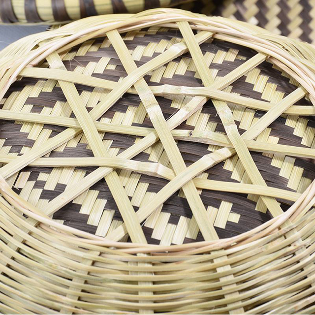 详情！长得最快的植物是“郢中白雪”