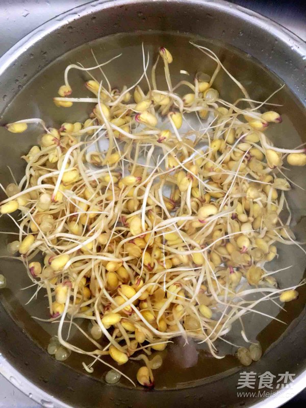 分析！家庭自制黄豆芽机“冰清水冷”