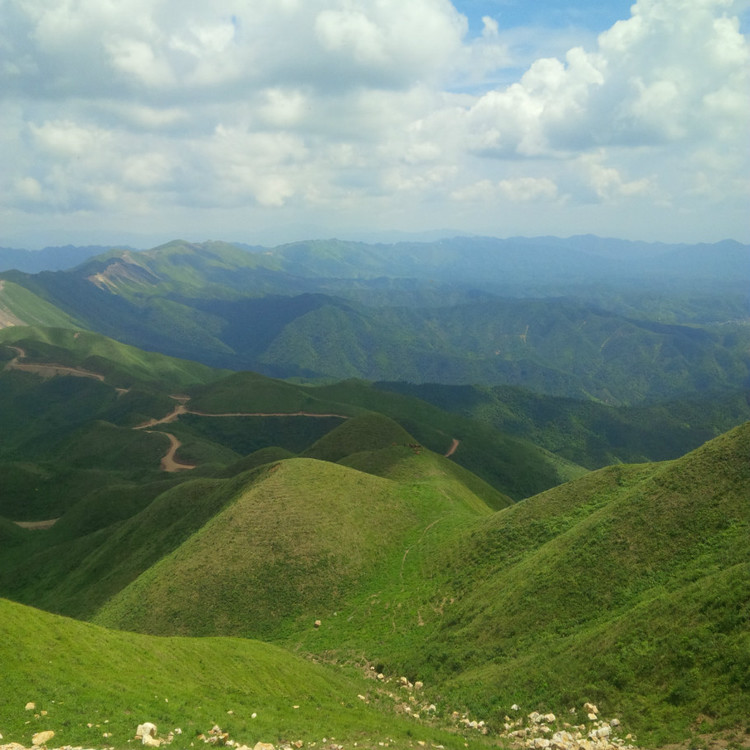 分析！get是什么意思啊“空谷幽兰”