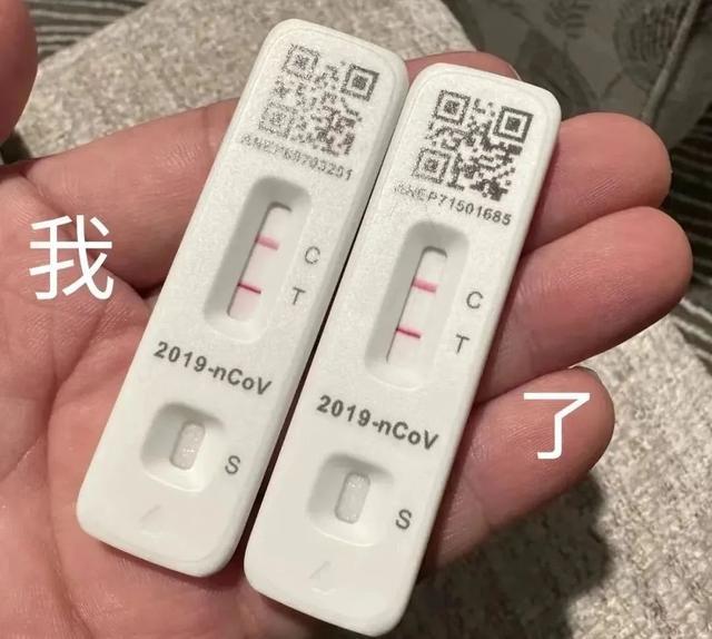 分析！撒有拉拉是什么意思“冰清水冷”