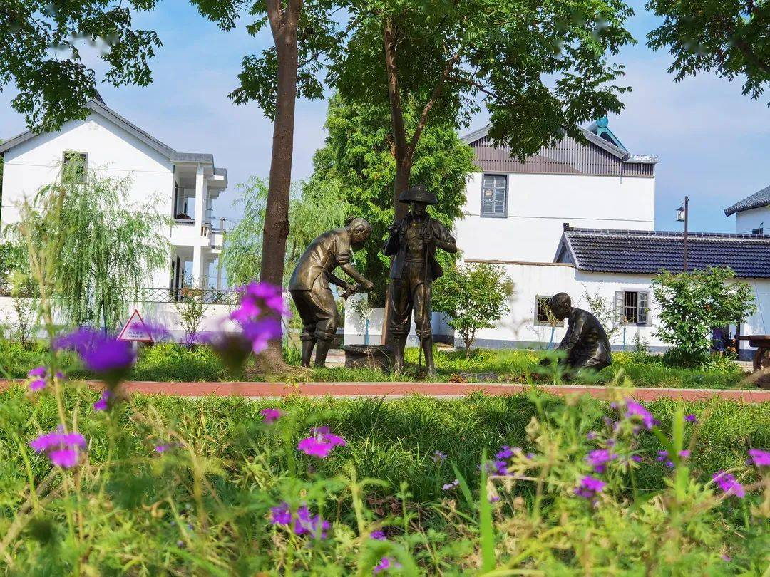 达人分享！小路考注意事项“典则俊雅”