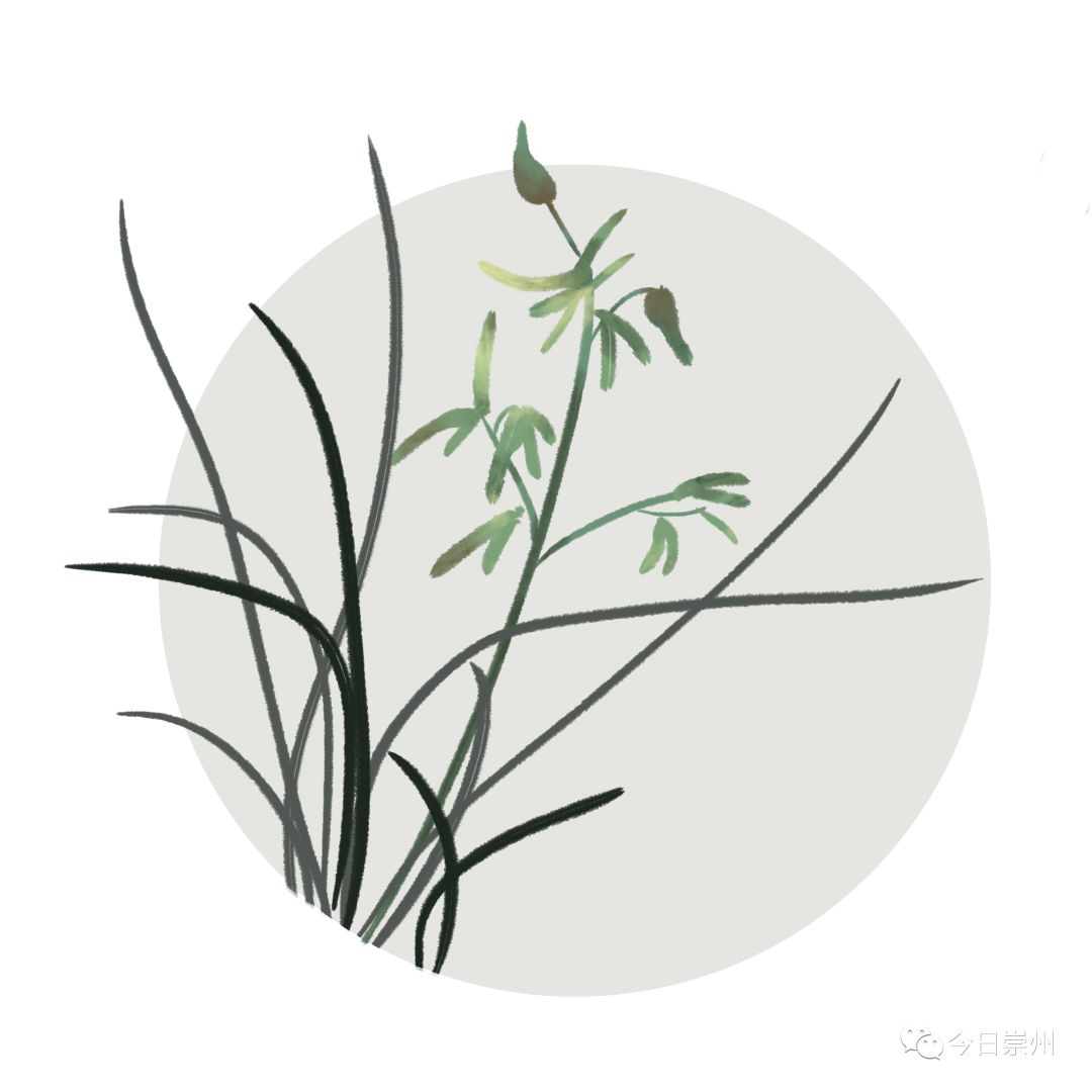 详情！人人校内网“空谷幽兰”