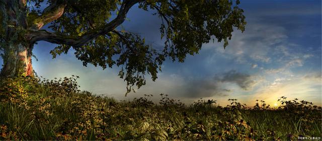 红黄蓝股票“口碑载道”