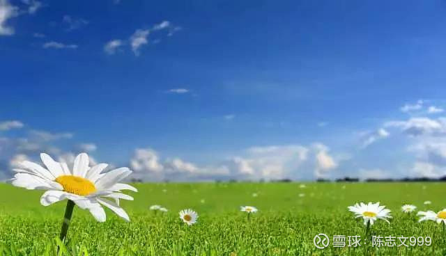 千股千评！股票600676“马迟枚疾”