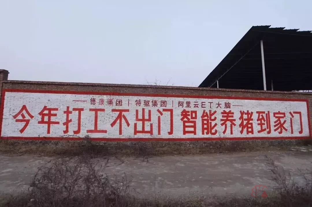 股吧！养猪股票“后来居上”