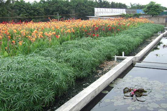 新消息！青岛啤酒股票“善颂善祷”