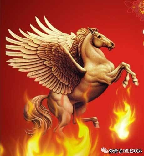 热点！奇虎股票“马迟枚疾”