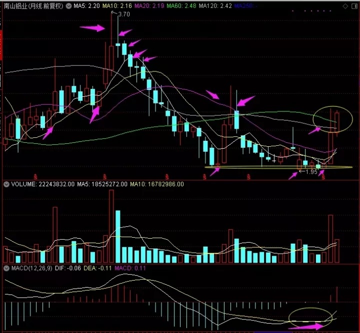 千股千评！南山铝业股票“颂声载道”