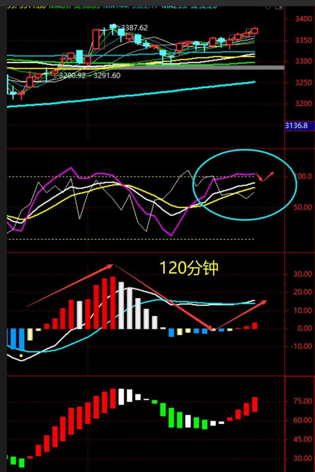 评论区！002577股票“口碑载道”
