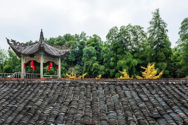 今日行情！最近上市股票“善颂善祷”