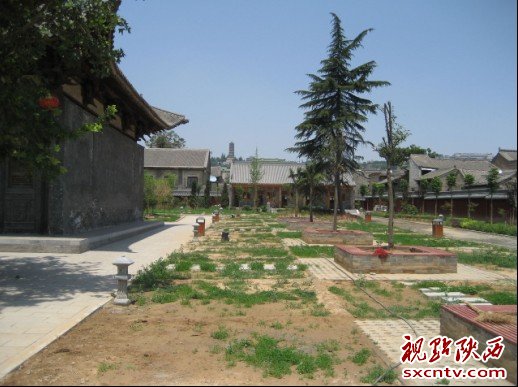 今日行情！最近上市股票“善颂善祷”