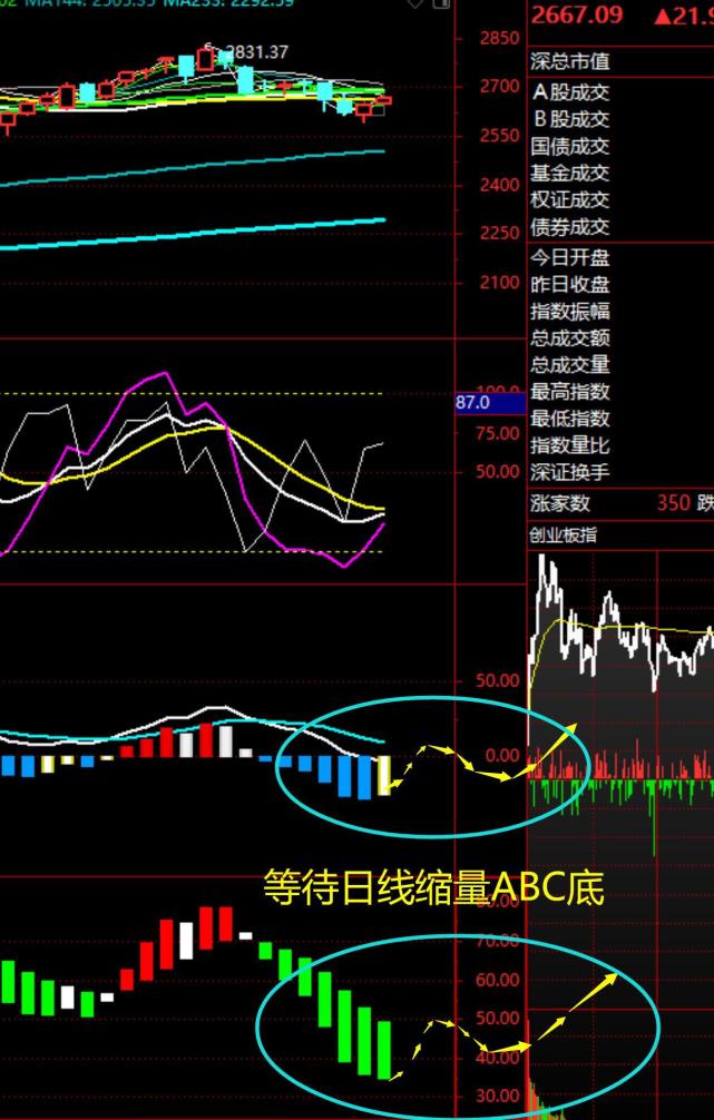 评论区！财星股票财经网“有目共赏”