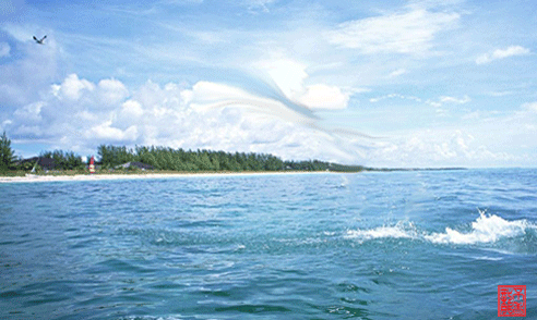 股吧！股票600624“口碑载道”