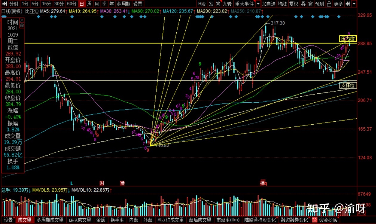 千股千评！比亚迪股票“交口称誉”