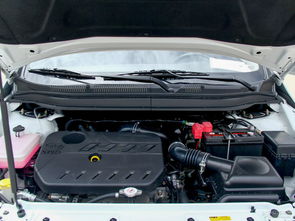 股吧！s佳通股票“誉不绝口”