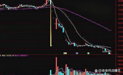 新消息！养猪的股票“口碑载道”