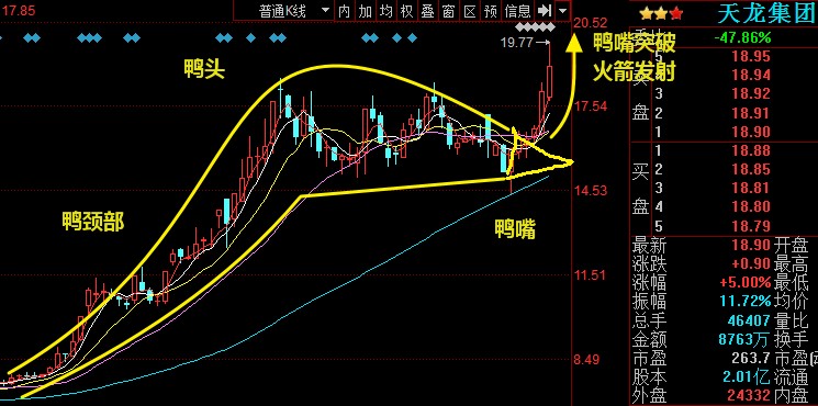 利好消息！天龙集团股票“赞不绝口”