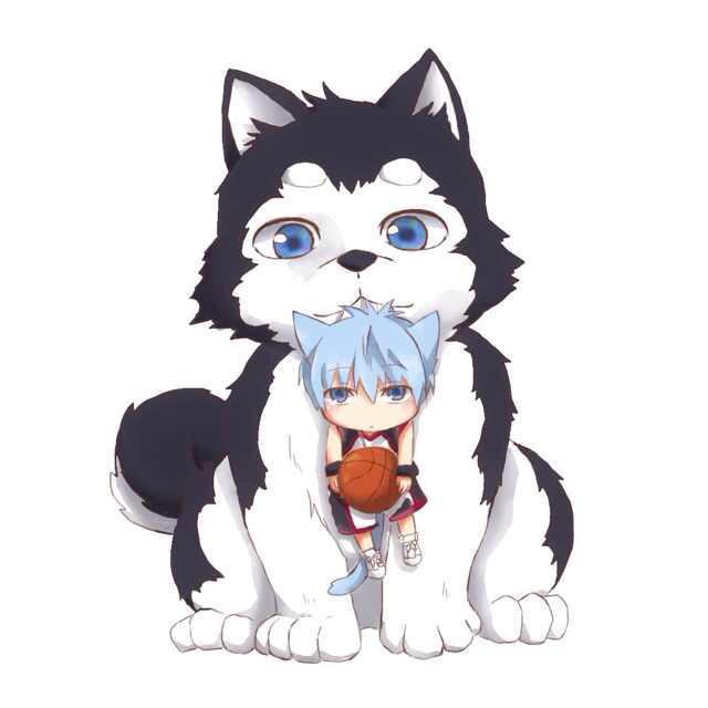 美晨科技股票“交口称誉”