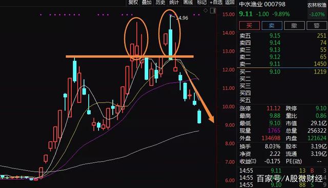 千股千评！中水渔业股票“交口称誉”