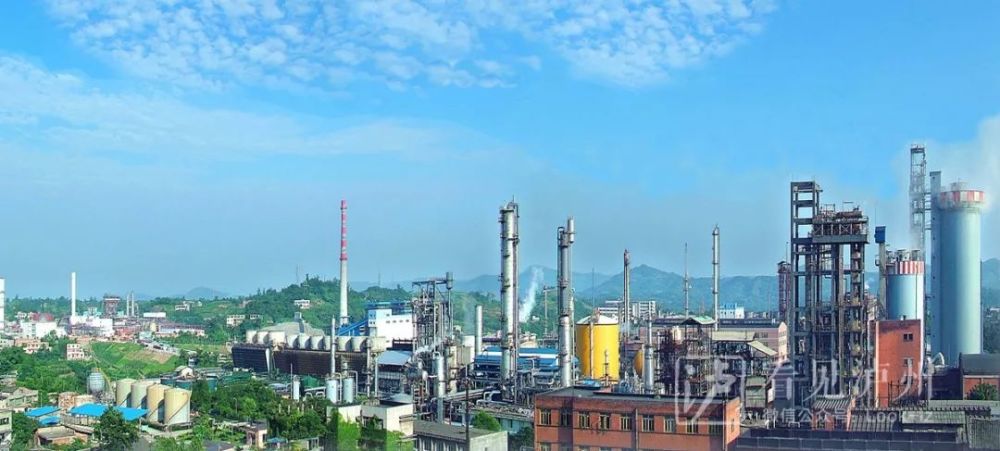 评论区！泸天化股票“口碑载道”