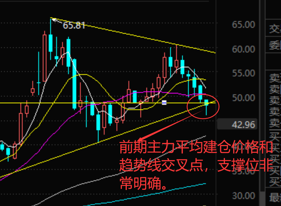 股吧！600660股票“赞不绝口”