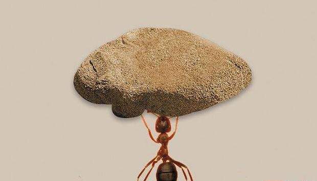 评论区！股票300258“誉不绝口”