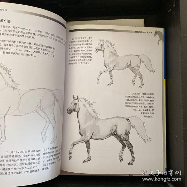 评论区！云股票情报网“马迟枚疾”