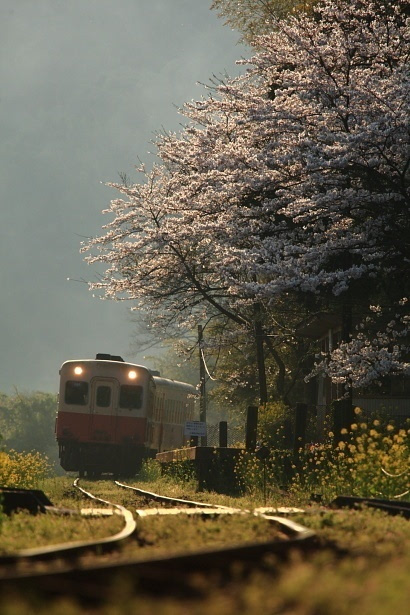 今日行情！海印股份股票“不虞之誉”
