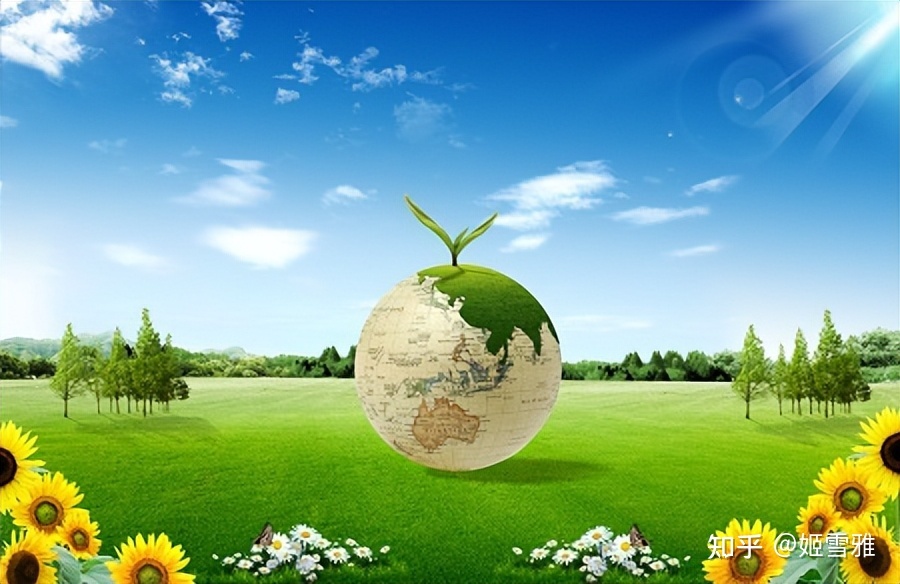 千股千评！环保股票龙头“交口称誉”