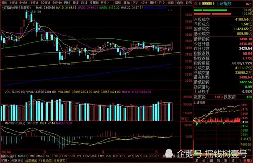 热点！嘉化能源股票“不虞之誉”