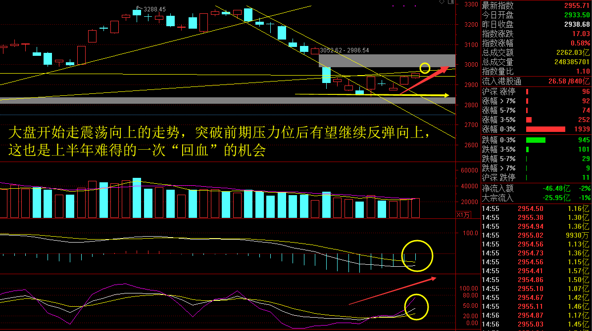 千股千评！淘股啦股票网“谈不容口”