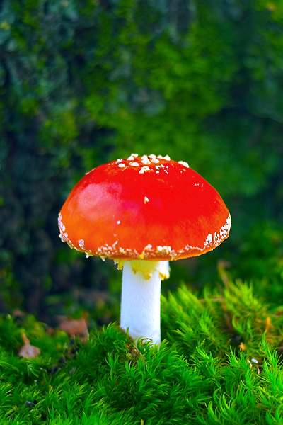 股吧！王国强股票博客