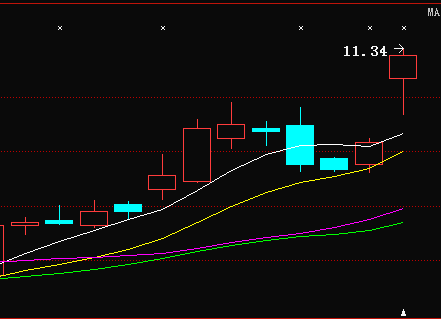 利好消息！棕榈园林股票