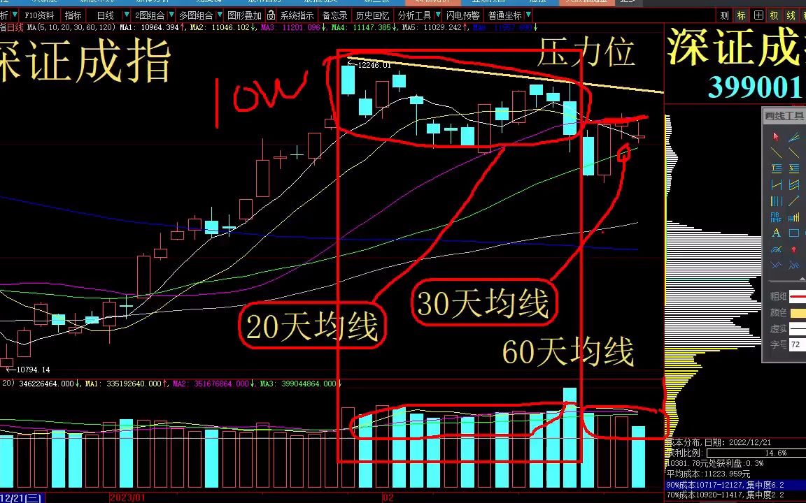 今日行情！股票推荐“马迟枚疾”