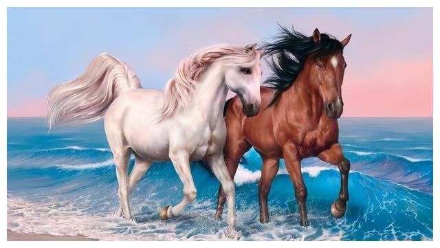 千股千评！002开头的股票属于什么板块“马迟枚疾”