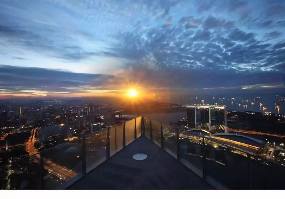 千股千评！股票投资心得“后来居上”