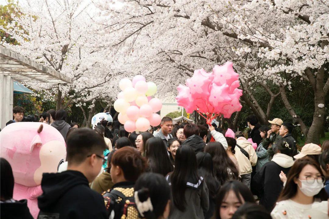 千股千评！现代投资股票“交口称誉”